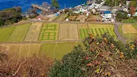 煌めきの丘の写真・動画_image_335140