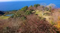煌めきの丘の写真・動画_image_335141