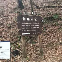 白糸の滝の写真・動画_image_339132