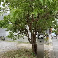 ㈱沖縄ティーファクトリーの写真・動画_image_340717