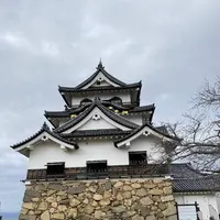 彦根城の写真・動画_image_341826
