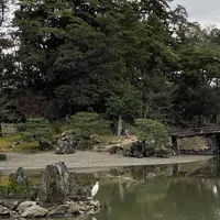 彦根城の写真・動画_image_341829