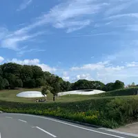 豊島美術館の写真・動画_image_343851