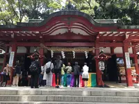 来宮神社 鳥居の写真・動画_image_343924
