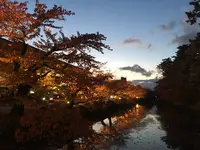 弘前城の写真・動画_image_345981