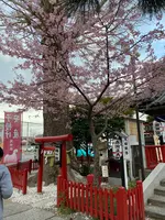 鴻神社の写真・動画_image_347934