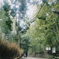 嵐山の写真・動画_image_349209