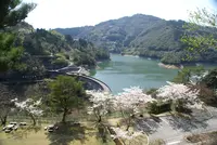上椎葉ダムの写真・動画_image_349551