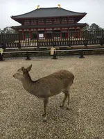 興福寺の写真・動画_image_349799