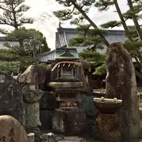 大願寺の九本松の写真・動画_image_350300