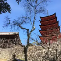 荒胡子神社の写真・動画_image_350365