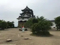 彦根城の写真・動画_image_350656