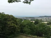 彦根城の写真・動画_image_350657