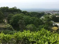 彦根城の写真・動画_image_350661