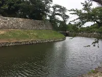 彦根城の写真・動画_image_350663