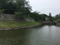 彦根城の写真・動画_image_350664