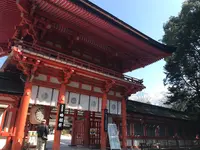 下鴨神社（賀茂御祖神社）の写真・動画_image_352802