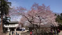高麗神社の写真・動画_image_352904