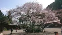 高麗神社の写真・動画_image_352905