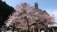 高麗神社の写真・動画_image_352907
