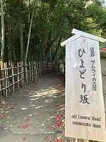 佐倉サムライの古径 ひよどり坂の写真・動画_image_353106