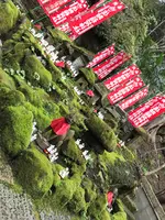 佐助稲荷神社の写真・動画_image_353772