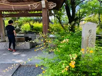 松尾大社の写真・動画_image_356442