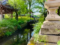 松尾大社の写真・動画_image_356445