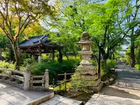 松尾大社の写真・動画_image_356447