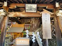 松尾大社の写真・動画_image_356461