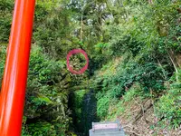 松尾大社の写真・動画_image_356467