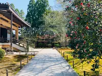 広隆寺の写真・動画_image_356488
