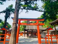 吉田神社の写真・動画_image_358516