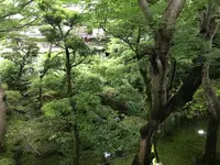 奥湯河原温泉 青巒荘（せいらんそう）の写真・動画_image_359432