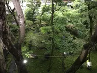 奥湯河原温泉 青巒荘（せいらんそう）の写真・動画_image_359433