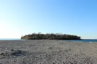 沖の島の写真・動画_image_359603