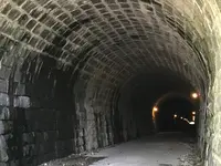旧天城トンネルの写真・動画_image_361335