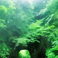 濃溝の滝の写真・動画_image_361399