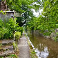 高瀬川の写真・動画_image_364113