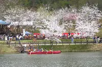 大平森林公園の写真・動画_image_364394