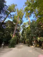 鹿島神宮の写真・動画_image_365606