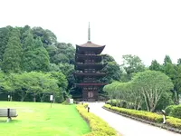 瑠璃光寺の写真・動画_image_366701