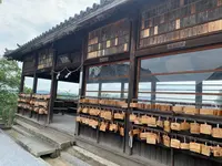阿智神社の写真・動画_image_368611