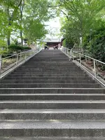 阿智神社の写真・動画_image_368616