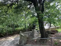阿智神社の写真・動画_image_368621