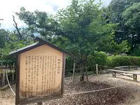 阿智神社の写真・動画_image_368623