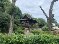 阿智神社の写真・動画_image_368624