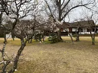 桂離宮の写真・動画_image_371147