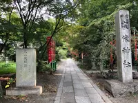 京都御苑の写真・動画_image_371392