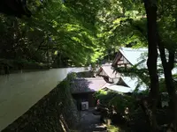 上醍醐寺の写真・動画_image_371500